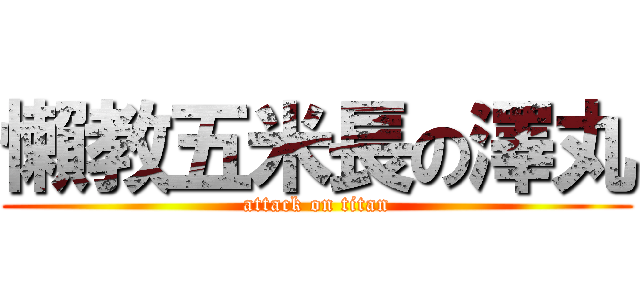 懶教五米長の澤丸 (attack on titan)