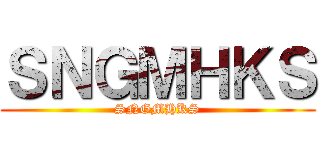 ＳＮＧＭＨＫＳ (SNGMHKS)