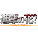 進撃の花貓 (attack on Farfar)