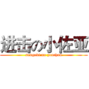 进击の小佐亚 (sengeki no zoachan)