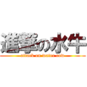 進撃の水牛 (attack on water cow)