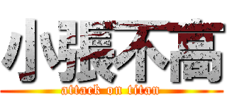 小張不高 (attack on titan)