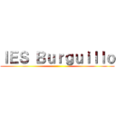 ＩＥＳ Ｂｕｒｇｕｉｌｌｏ ()