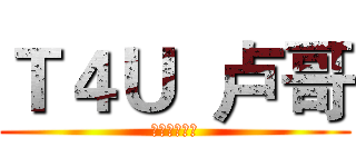 Ｔ４Ｕ  卢哥 (哥刹的是寂寞)