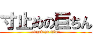 寸止めの巨ちん (attack on titan)