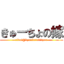きゅーちょの嫁 (rivai@kyuuketukityou)