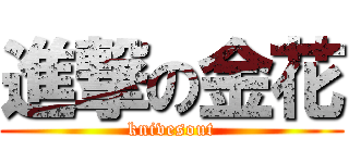 進撃の金花 (knivesout)