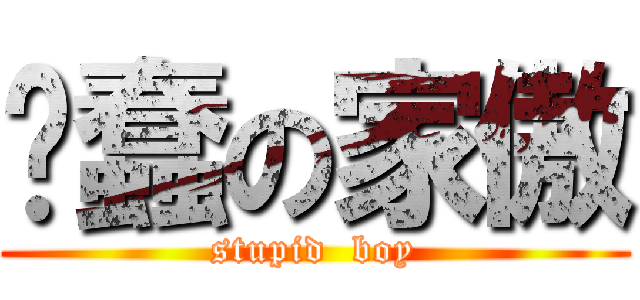 废蠢の家傲 (stupid  boy)