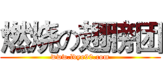 燃烧の翅膀团 (www.lvye90.com)