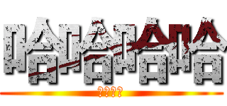 哈哈哈哈 (哈哈哈哈)