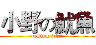 小野の魷魚 (coming soon)
