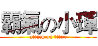 霸氣の小琿 (attack on titan)