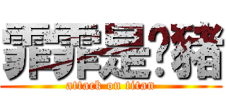 霏霏是ㄚ豬 (attack on titan)