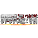 霏霏是ㄚ豬 (attack on titan)