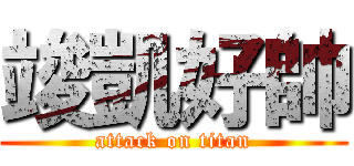 竣凱好帥 (attack on titan)