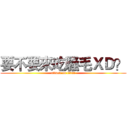 要不要來吃騷毛ＸＤ？ (attack on titan)