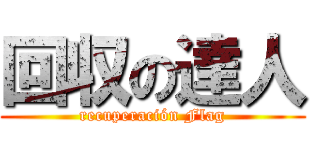 回収の達人 (recuperación Flag)