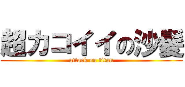 超カコイイの沙髪 (attack on titan)