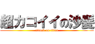 超カコイイの沙髪 (attack on titan)