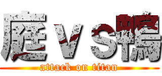 庭ｖｓ鴨 (attack on titan)