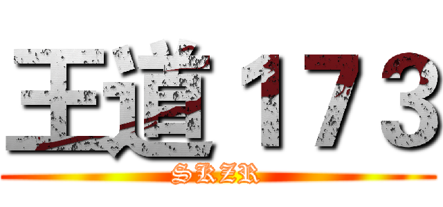 王道１７３ (SKZR)