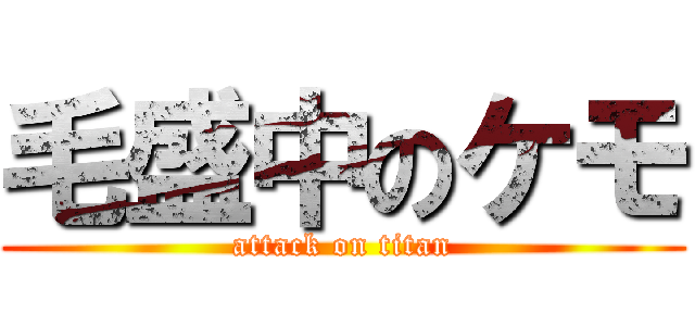 毛盛中のケモ (attack on titan)