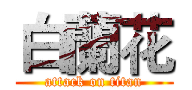 白蘭花 (attack on titan)