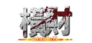 橫財 (windfall)