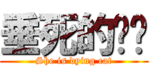 垂死的貓貓 (She is dying cat)