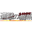 進擊の貓熊 (attack on panda)