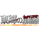 東郷の加藤 (Togo on Kato)