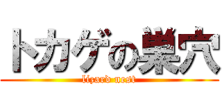 トカゲの巣穴 (lizard nest)