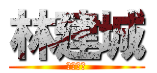 林建城 (三陽機車)