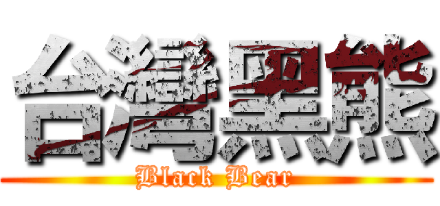 台灣黑熊 (Black Bear)