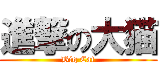 進撃の大猫 (Big Cat)