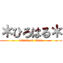 ＊ひろはる＊ (attack on titan)