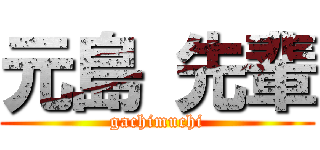 元島 先輩 (gachimuchi)