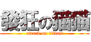 發狂の猫猫 (attack on titans)