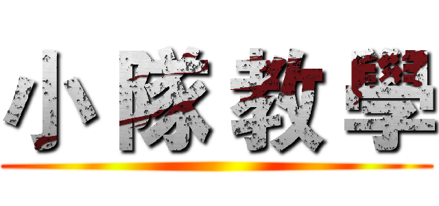 小 隊 教 學 ()