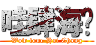 哇肆海錩 (Wow four Hai Chang)