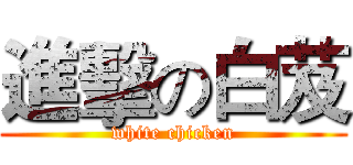 進擊の白芨 (white chicken)