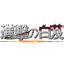 進擊の白芨 (white chicken)