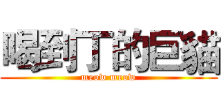 喝到丁的巨貓 (meow meow)