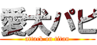 愛犬パピ (attack on titan)