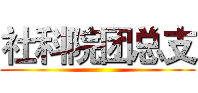 社科院团总支 ()