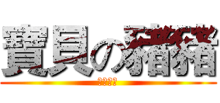 寶貝の豬豬 (藍天自製)