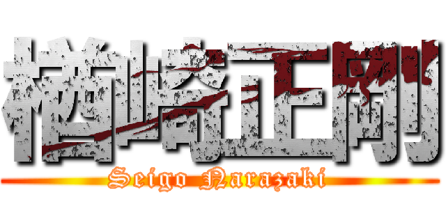 楢崎正剛 (Seigo Narazaki)