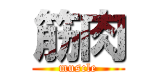 筋肉 (muscle)