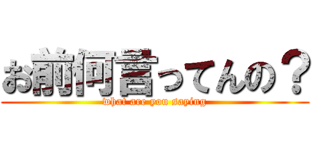 お前何言ってんの？ (what are you saying)