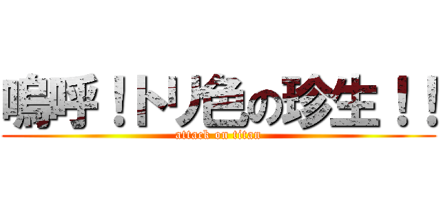 嗚呼！トリ色の珍生！！ (attack on titan)